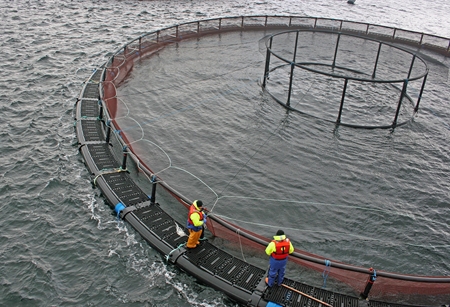 Why Marine VHF Radios Are Important for The Aquaculture Sector